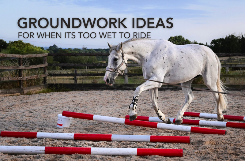 Groundwork ideas for when it’s too wet to ride | Equine Science Matters™